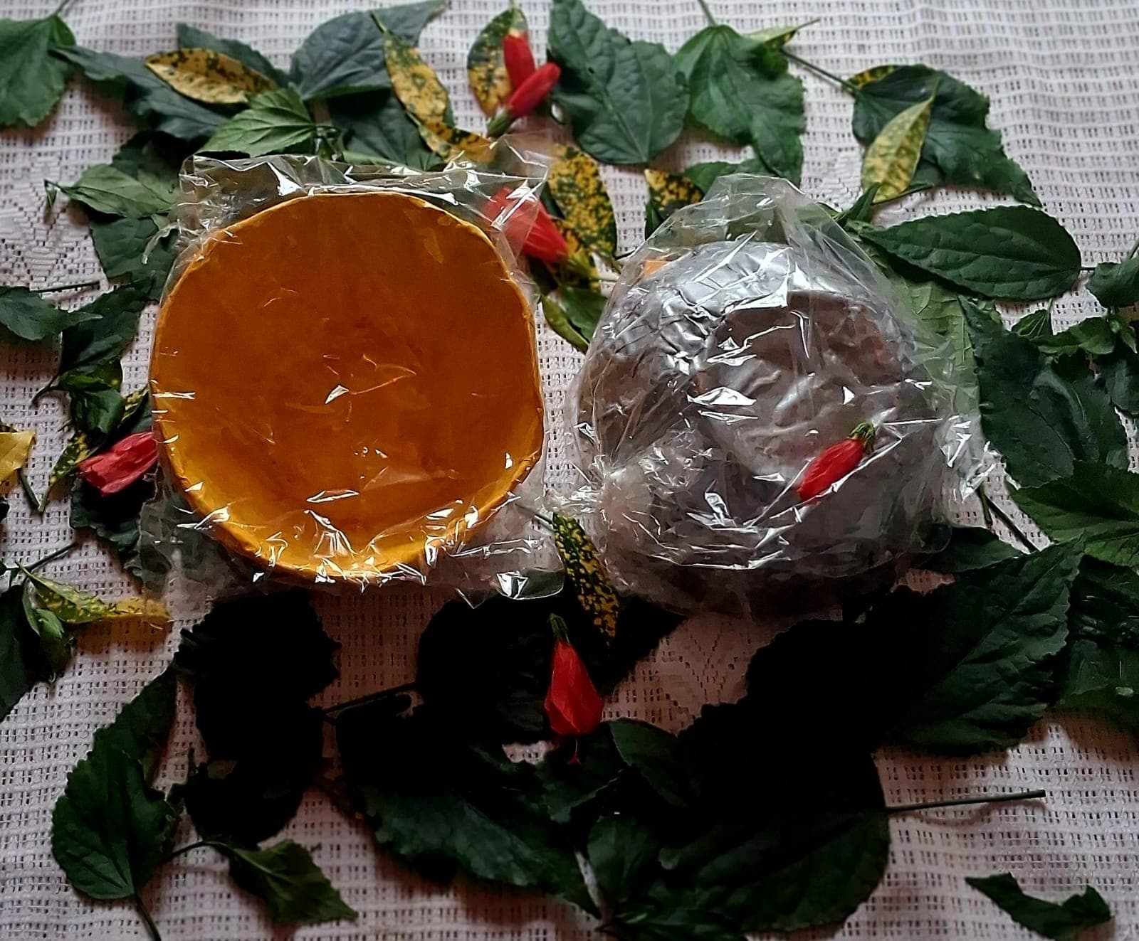 Tigelas Biodegradáveis Médias Tigelas Biodegradáveis Médias