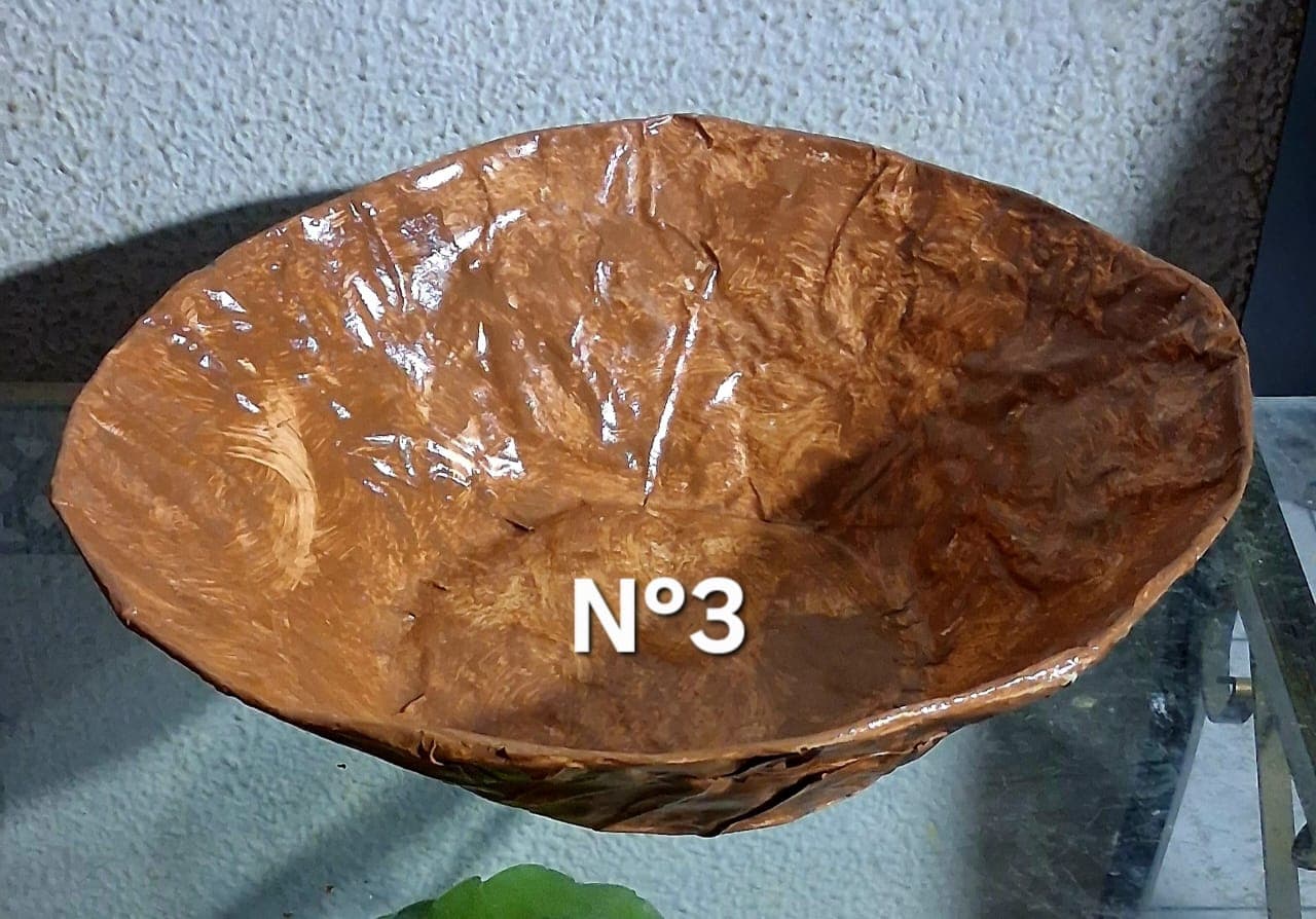Alguidares Biodegradáveis nº3 Alguidares Biodegradáveis nº3