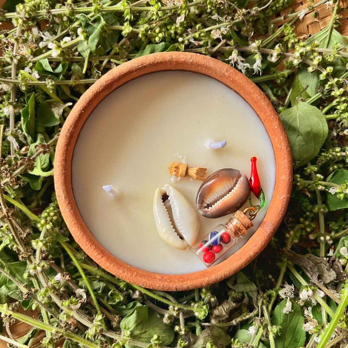 Vela búzios Vela búzios