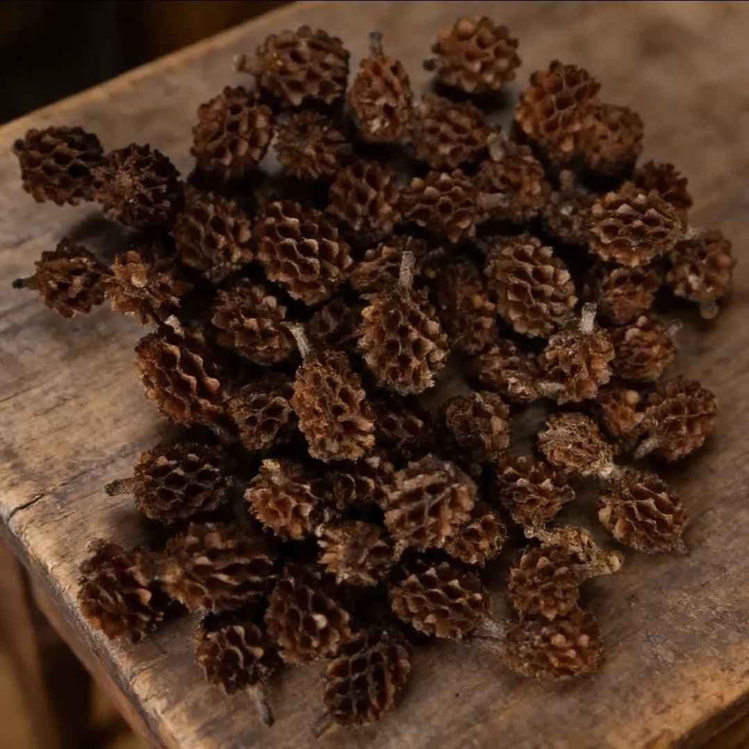 Kit 15 Fava da Atração Umbanda Candomblé Kit 15 Fava da Atração Umbanda Candomblé