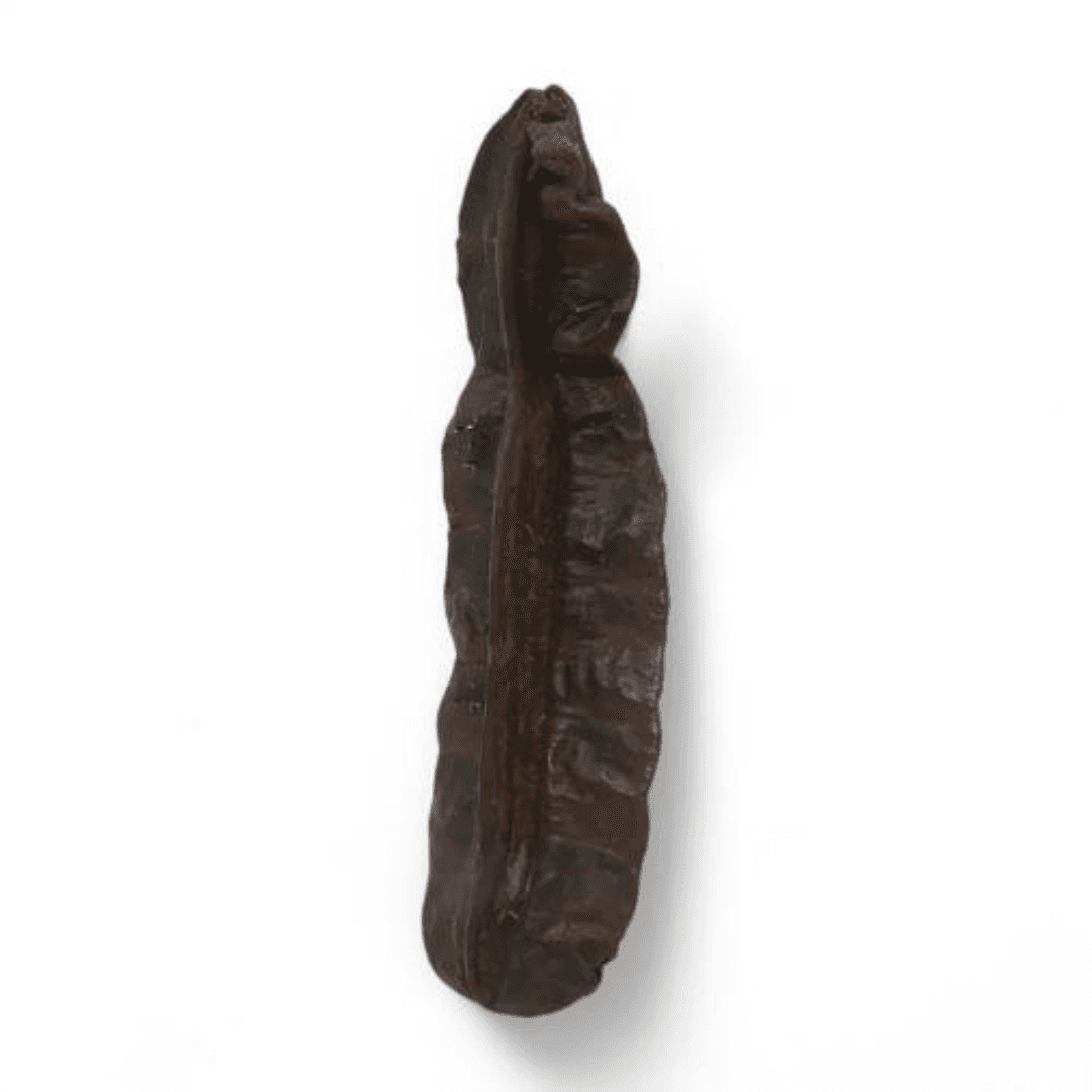 Fava de Aridan Africana