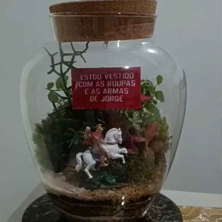 Terrario personalizado São Jorge Terrario personalizado São Jorge