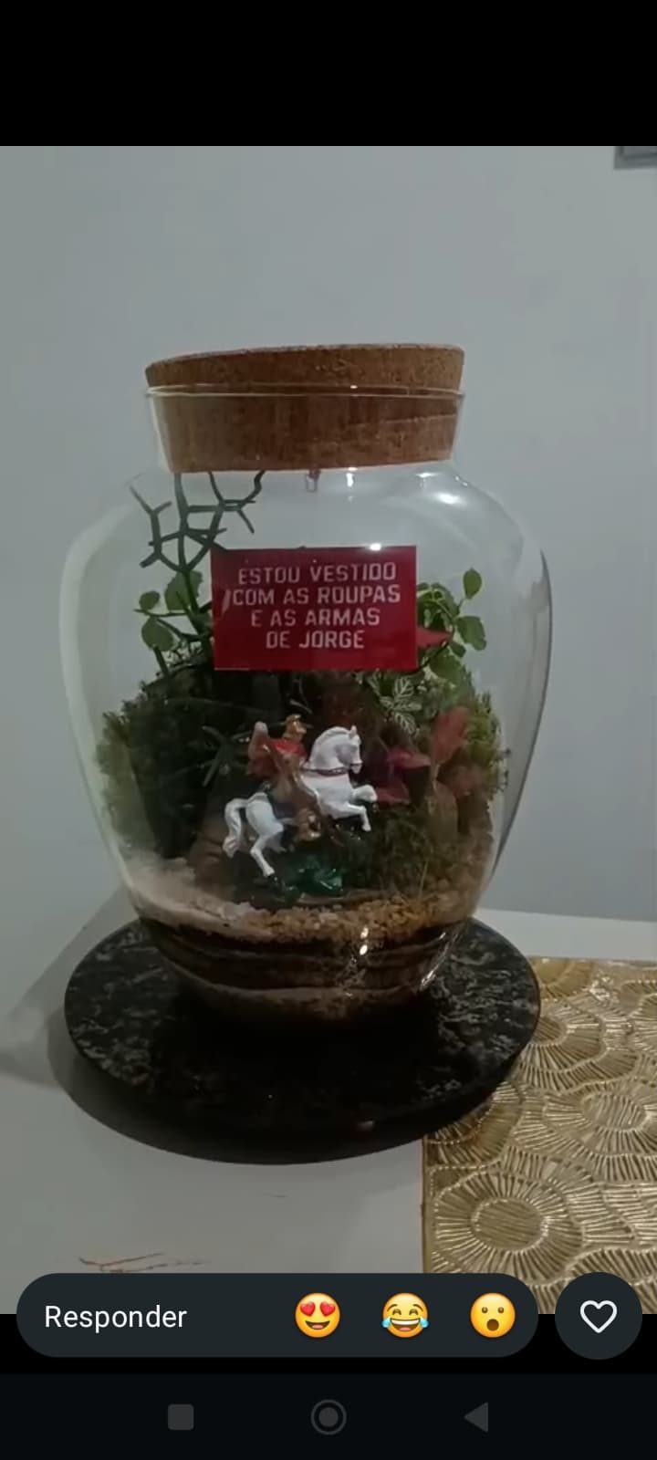 Terrario personalizado São Jorge Terrario personalizado São Jorge