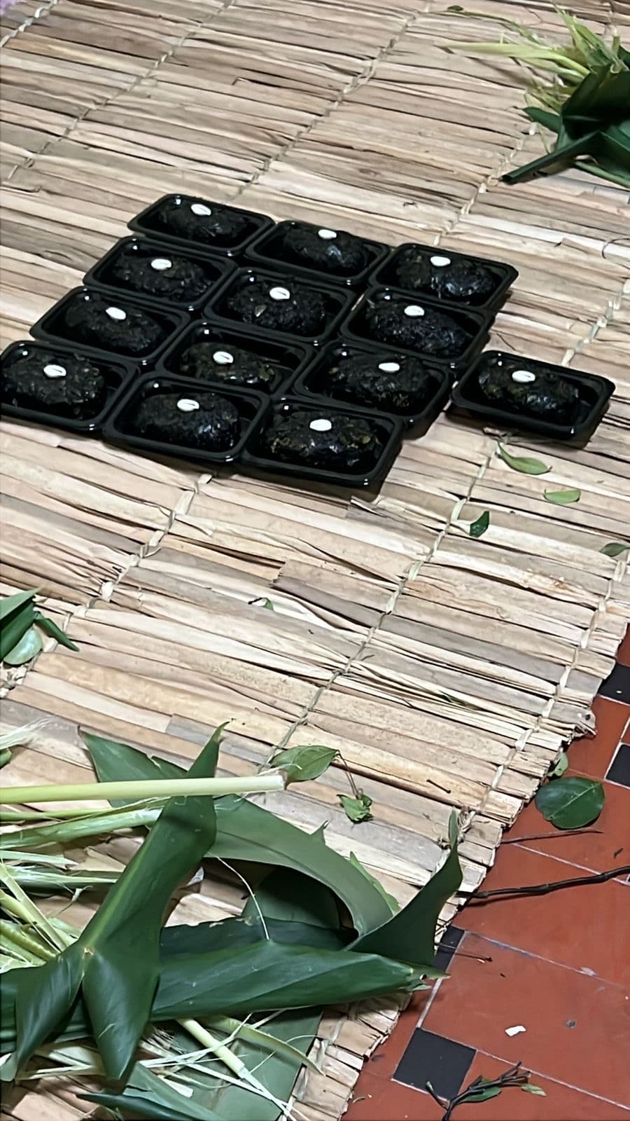 Ose dúdú magia para atração de dinheiro Ose dúdú magia para atração de dinheiro
