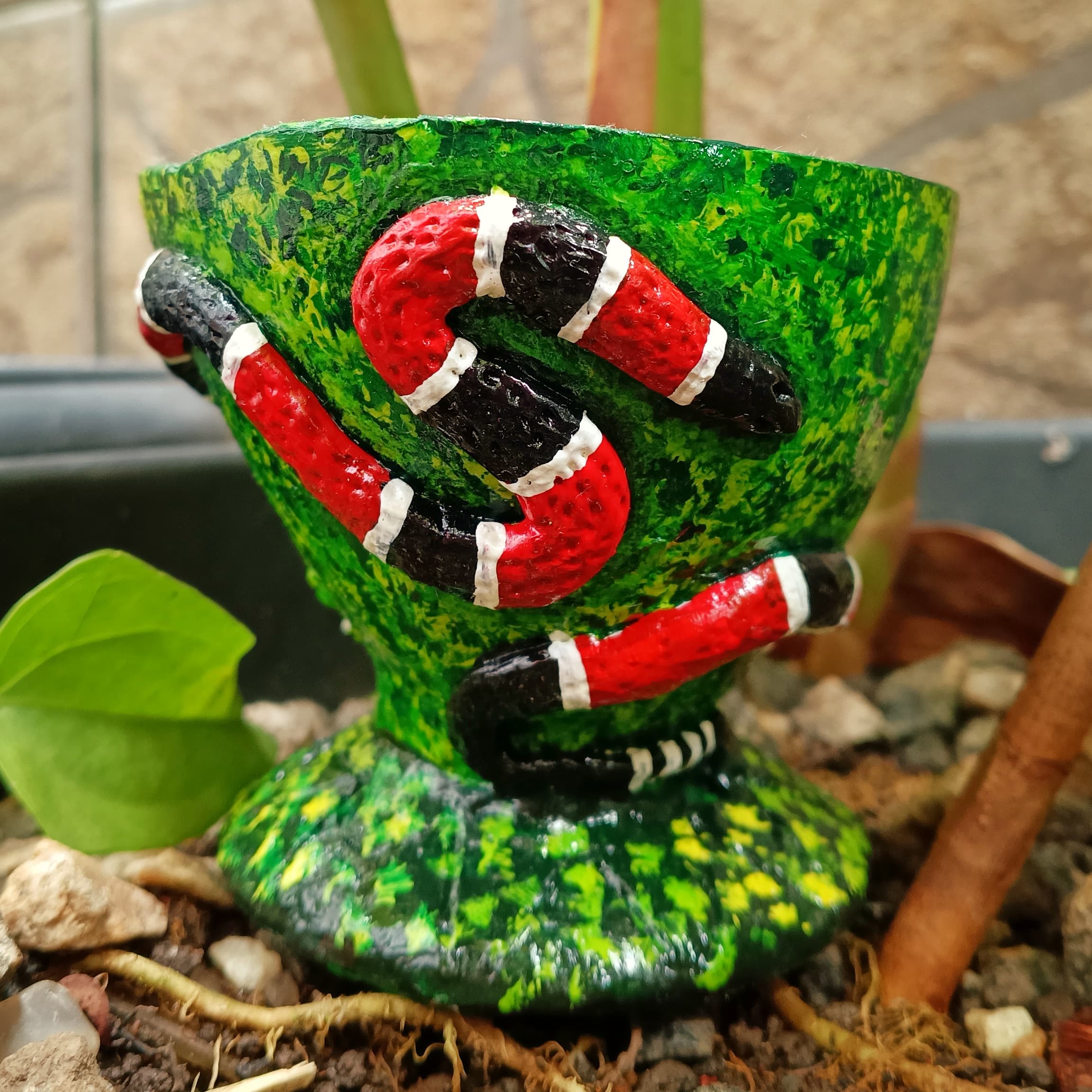 Coité Taça Caboclo Cobra Coral 🌿 3D Coité Taça Caboclo Cobra Coral 🌿 3D