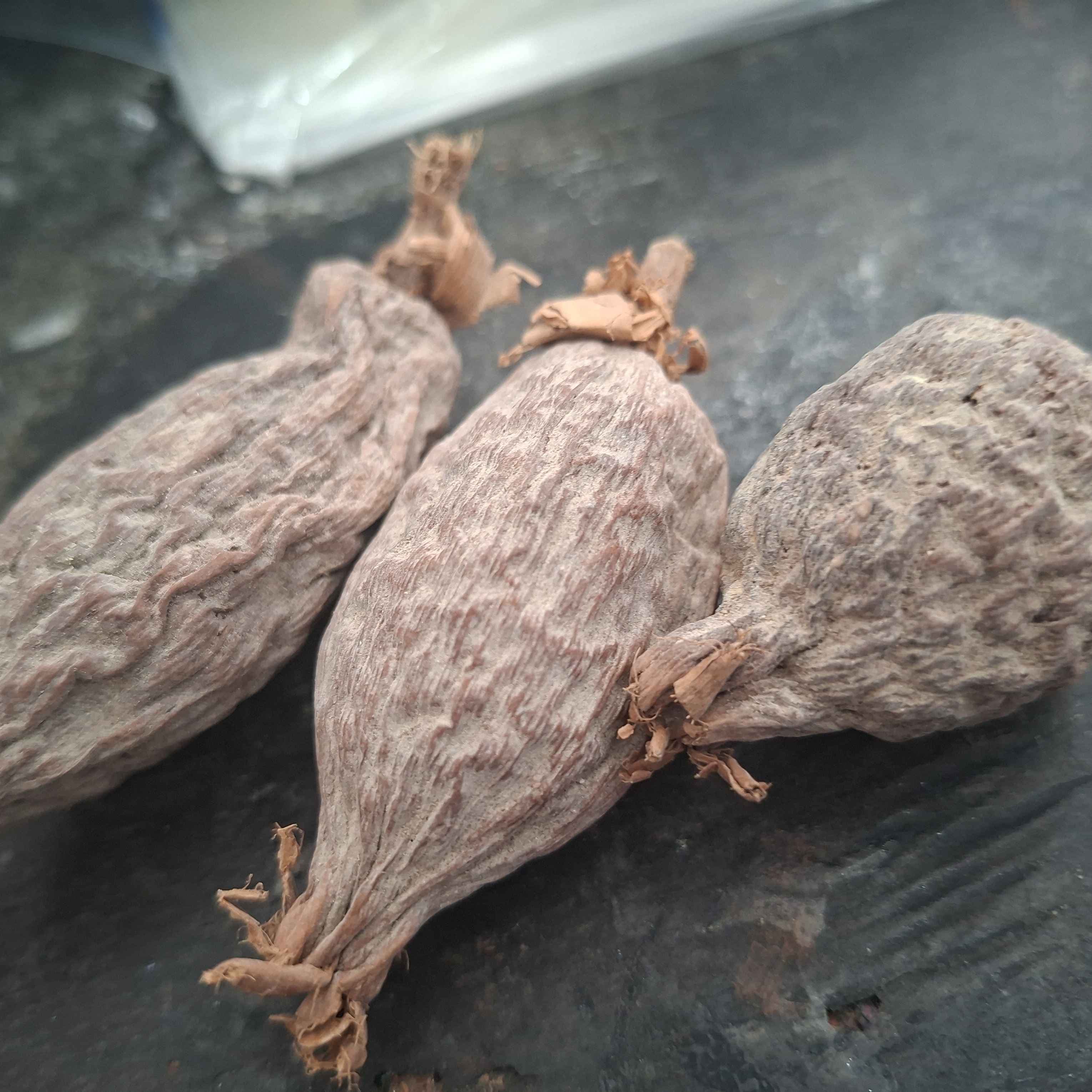 Fava de Atare Fava de Atare